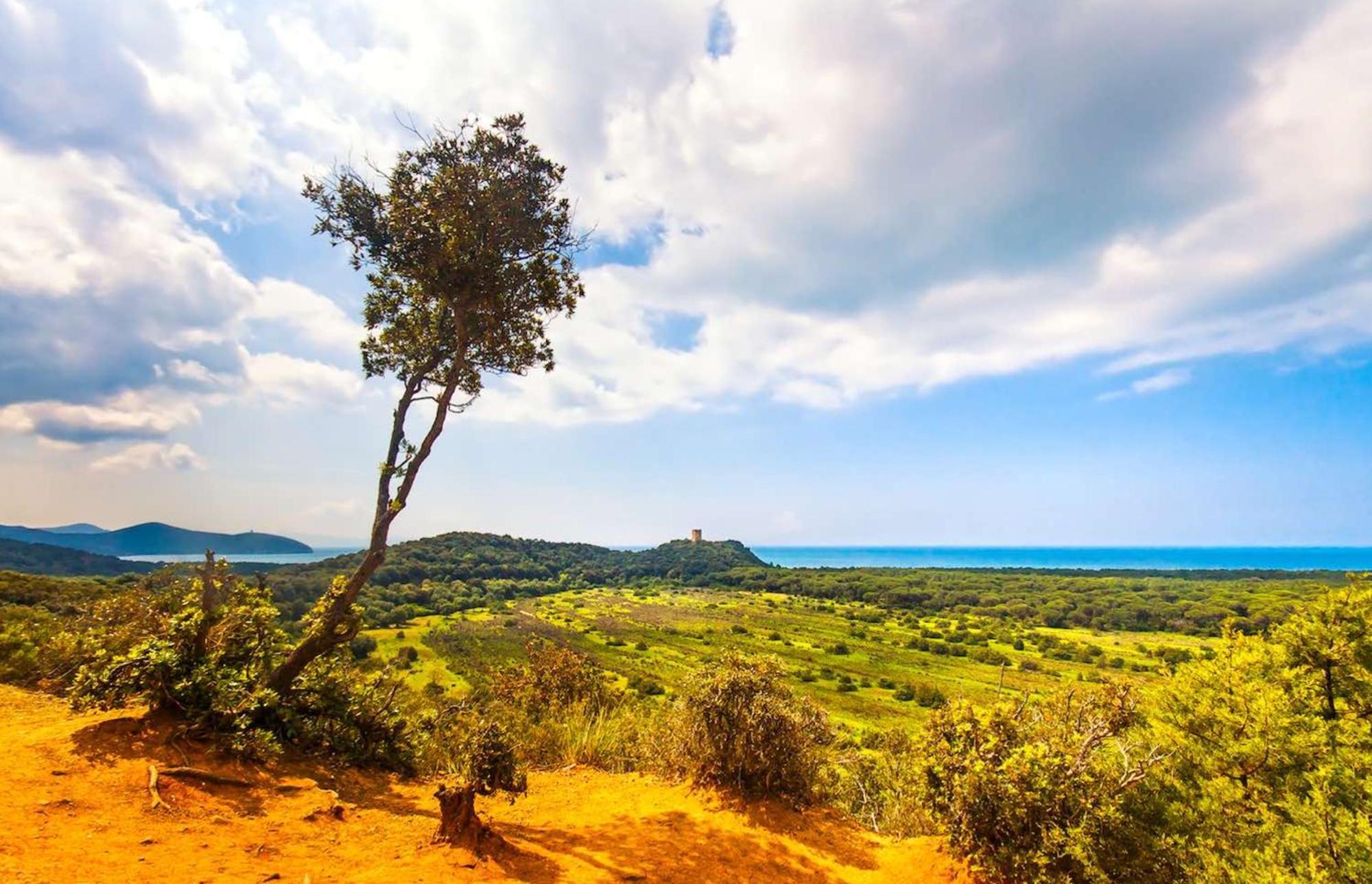 מאסה מריטימה Agriturismo Capricorni מראה חיצוני תמונה
