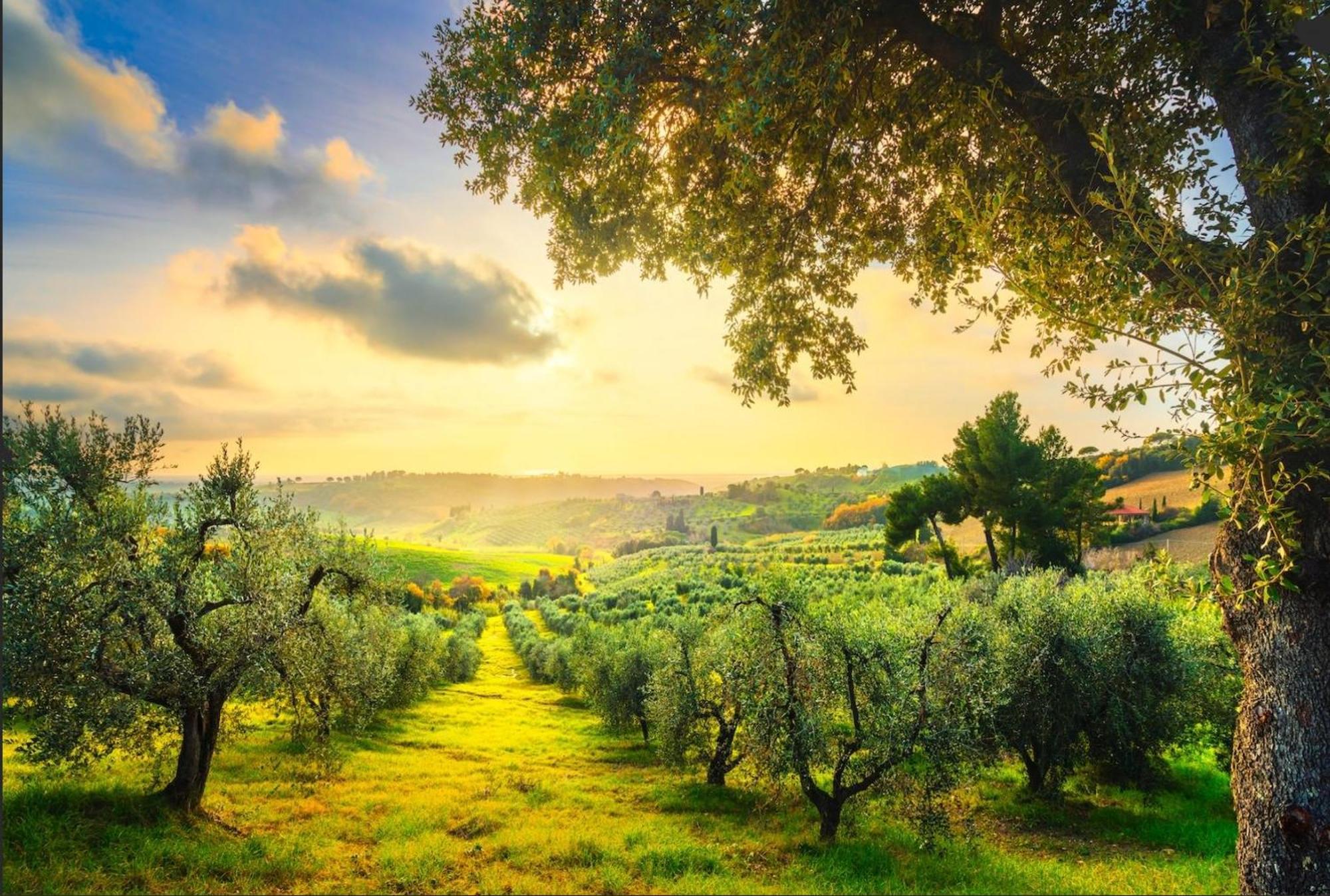 מאסה מריטימה Agriturismo Capricorni מראה חיצוני תמונה